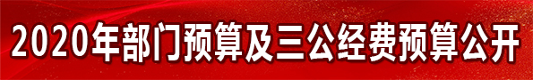 2019年部門預算及三公經費預算公開